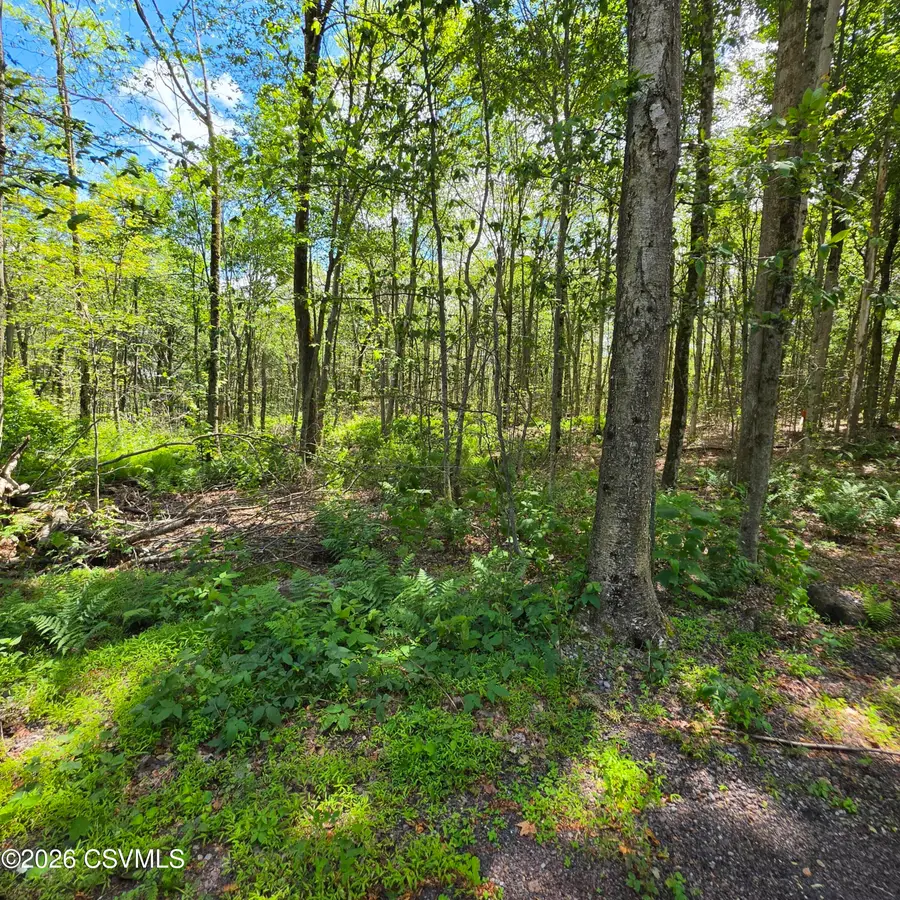 LOT 1 Pioneer Trail, Muncy Valley, PA 17758 - #2