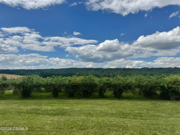 LOT #9 Old Reading Road, Paxinos, PA 17860