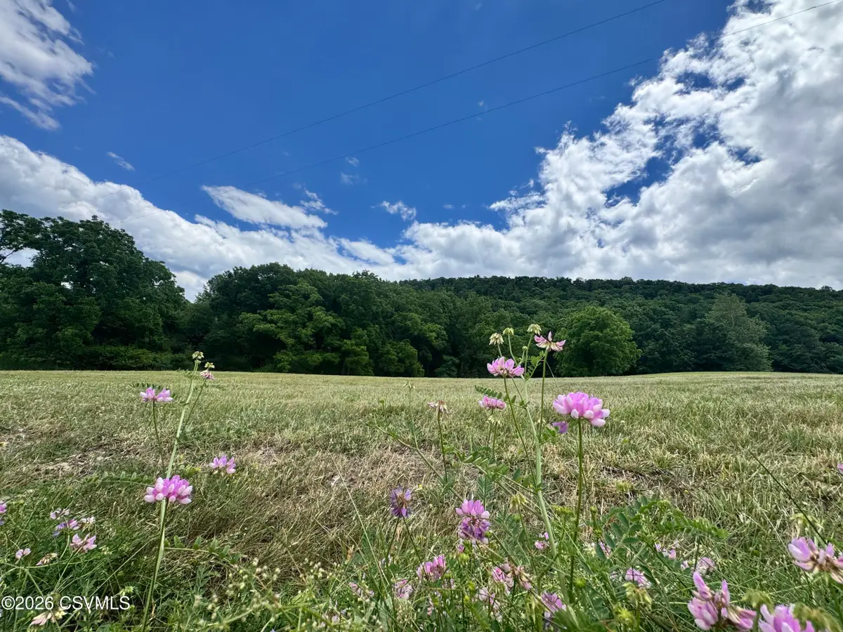 LOT #2 Old Reading Road, Paxinos, PA 17860 - #1