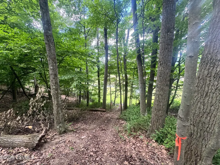 LOT #6 Old Reading Road, Paxinos, PA 17860 - #3