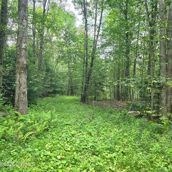 LOT 32 Hilary Lane, Dushore, PA 18614