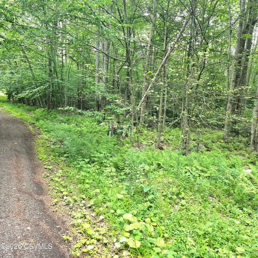 LOT 32 Hilary Lane, Dushore, PA 18614 - #2