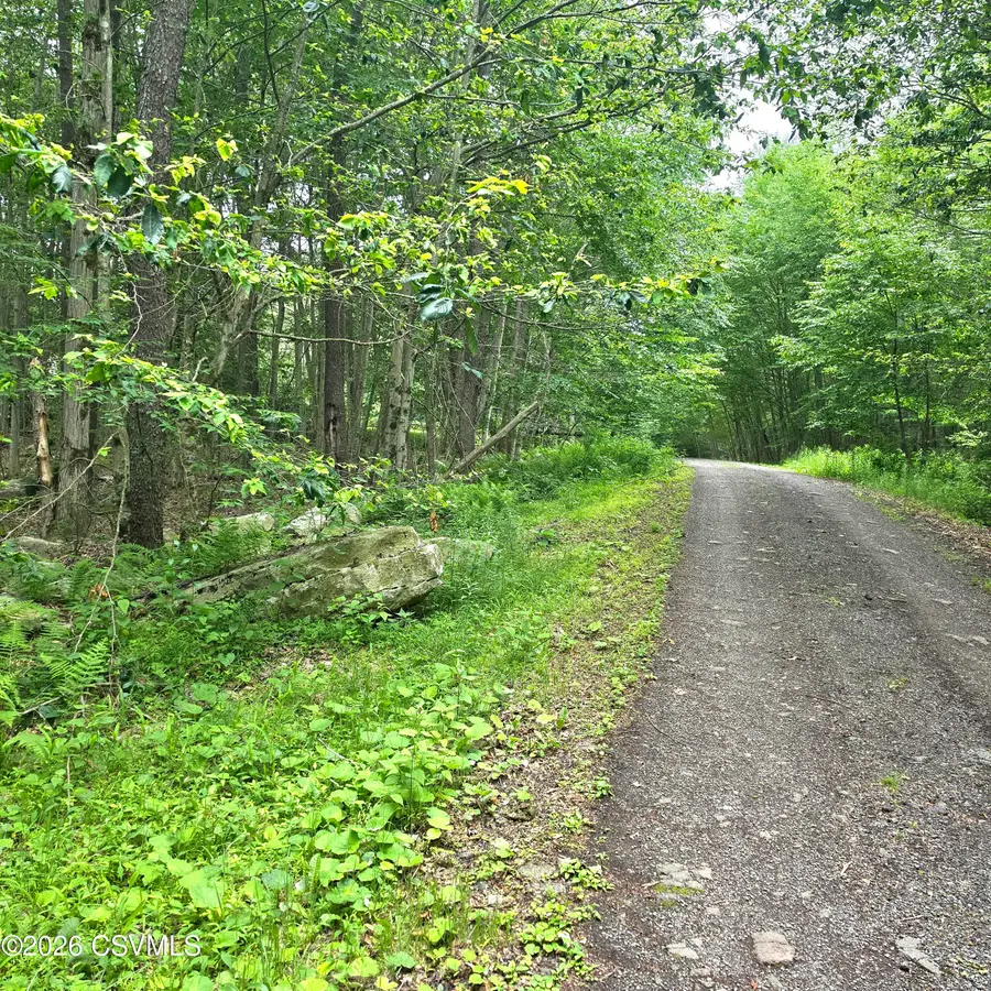 LOT 32 Hilary Lane, Dushore, PA 18614 - #3