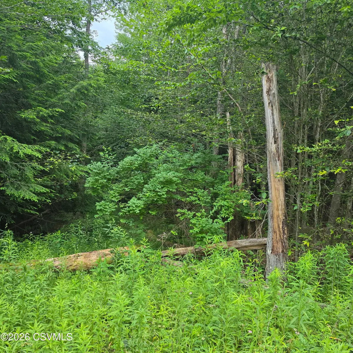 LOT 33 Hilary Lane, Dushore, PA 18614 - #1