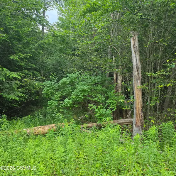 LOT 33 Hilary Lane, Dushore, PA 18614