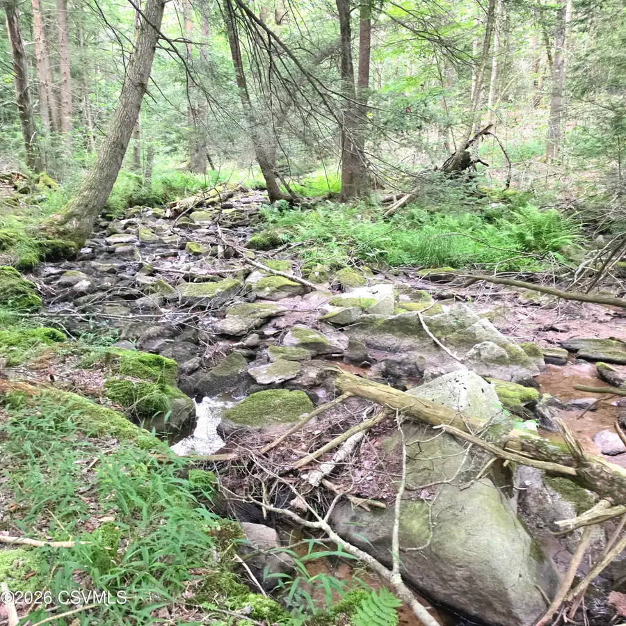 LOT 33 Hilary Lane, Dushore, PA 18614 - #2