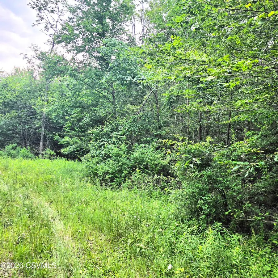 LOT 33 Hilary Lane, Dushore, PA 18614 - #3