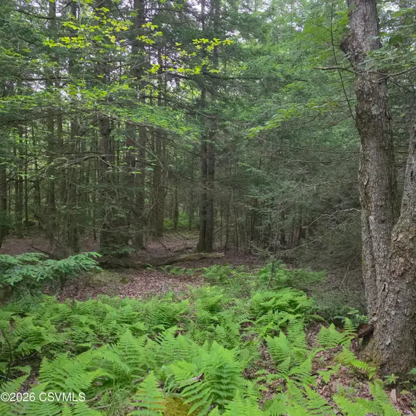 LOT 17 Lark Road, Dushore, PA 18614