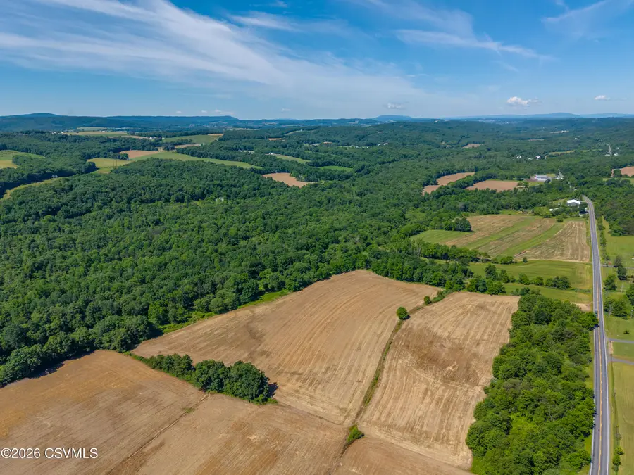 PARCEL 1 Snydertown Road, Danville, PA 17821 - #3