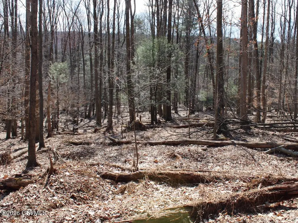 Squirrel Lane, Shickshinny, PA 18655 - #1