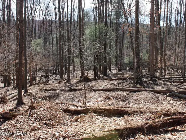 Squirrel Lane, Shickshinny, PA 18655