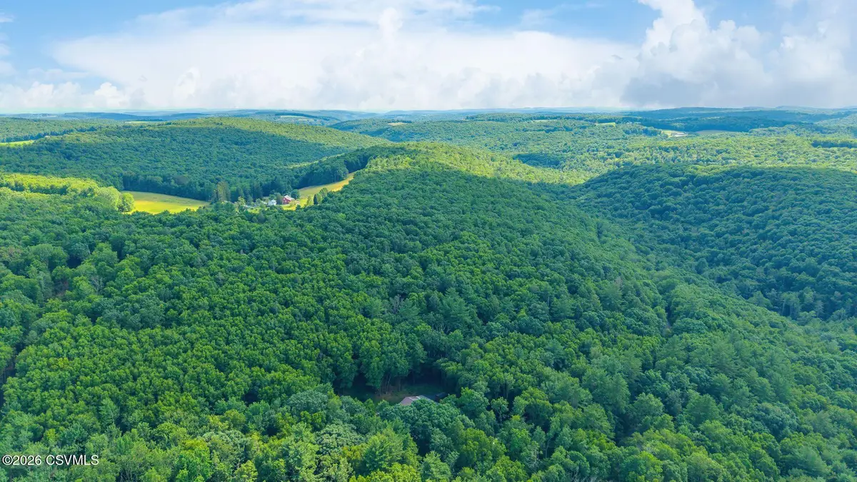 Mendenhall Hill Road, Benton, PA 17814 - #1
