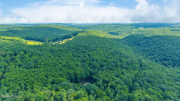 Mendenhall Hill Road, Benton, PA 17814