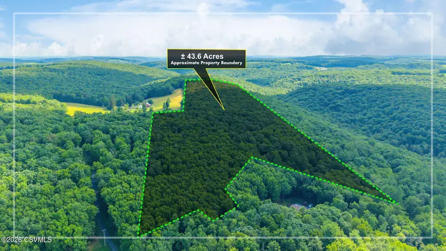 Mendenhall Hill Road, Benton, PA 17814 - #3