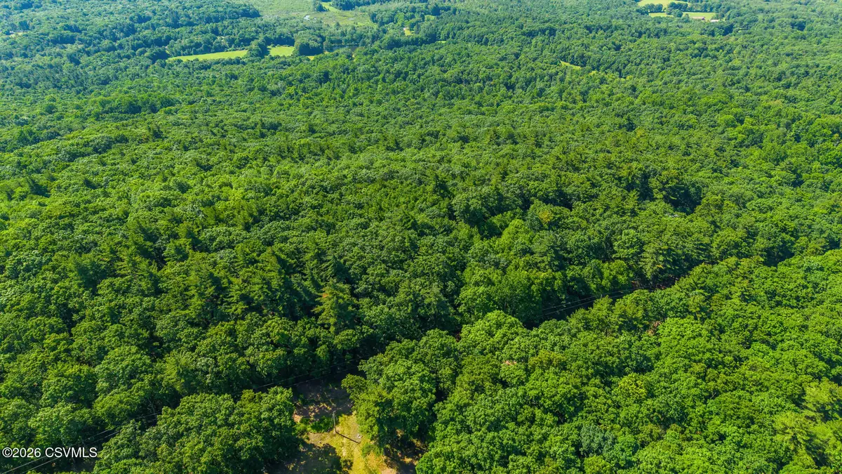 Hickory Lane, Shickshinny, PA 18655 - #1