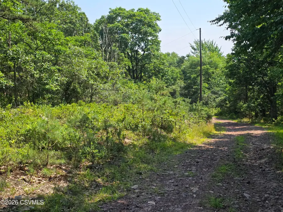 High Mountain Acres Road, Catawissa, PA 17820 - #2
