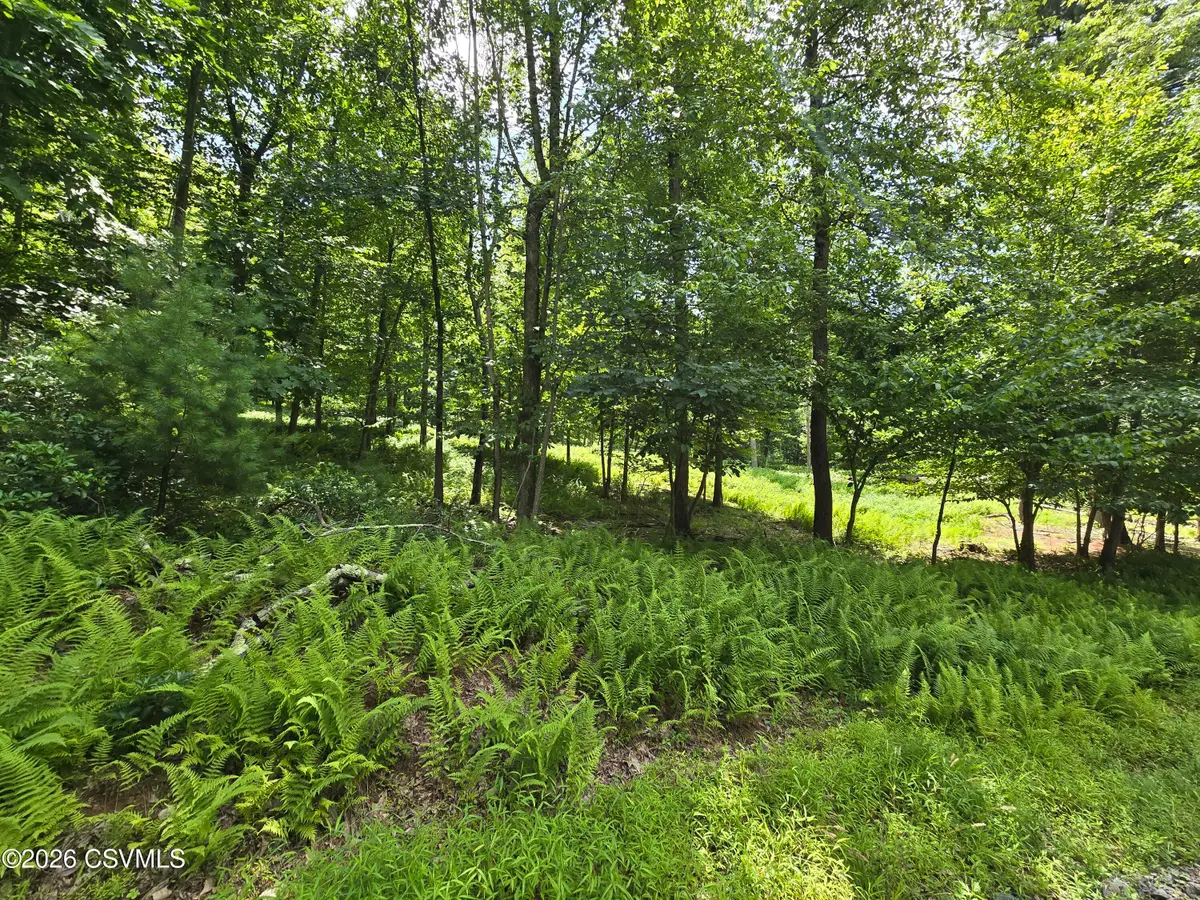 LOT 9 Community Pond Drive, Catawissa, PA 17820 - #1
