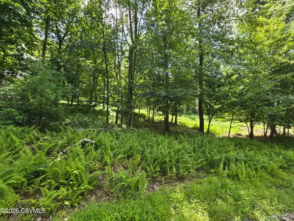 LOT 9 Community Pond Drive, Catawissa, PA 17820