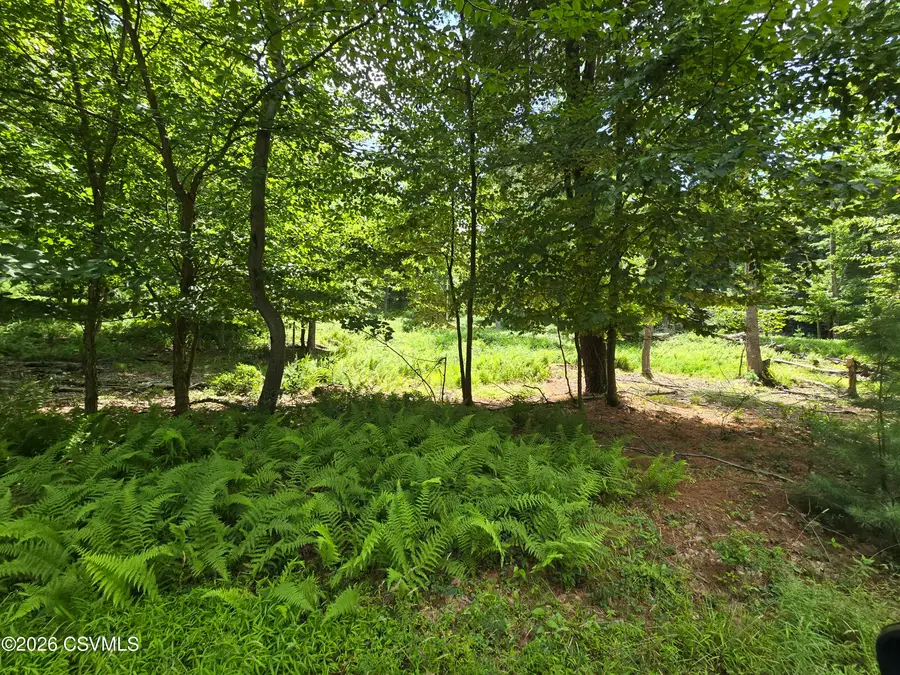 LOT 9 Community Pond Drive, Catawissa, PA 17820 - #2