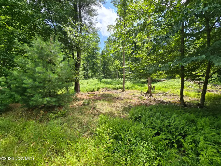 LOT 9 Community Pond Drive, Catawissa, PA 17820 - #3
