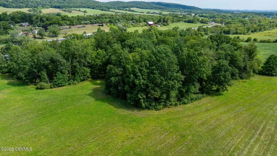 Reinaker Road, Danville, PA 17821 - #3