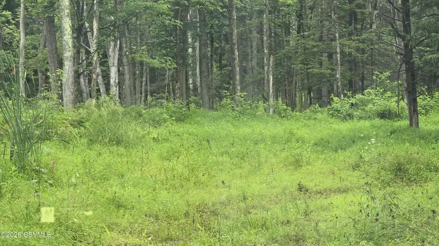 Pennsylvania 239 Highway, Unityville, PA 17774 - #3