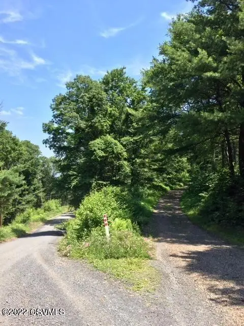 163 Evergreen Lane, Catawissa, PA 17820 - #2