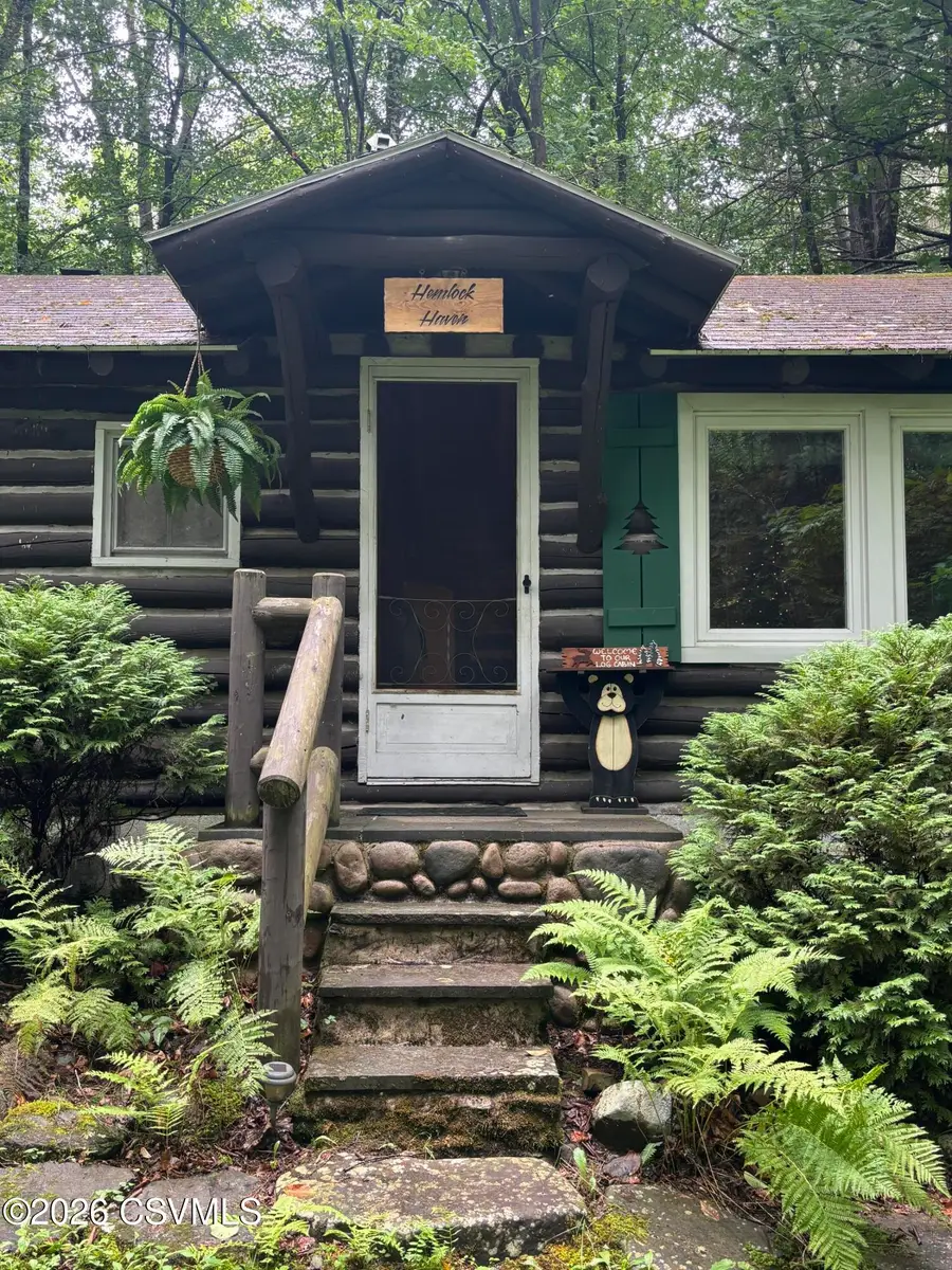 50 Brisky Way, Dushore, PA 18614 - #3