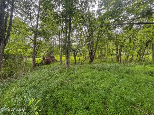 LOT 1 Snydertown Road, Danville, PA 17821