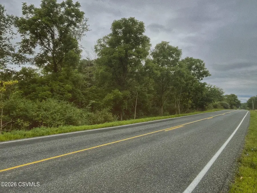 LOT 1 Snydertown Road, Danville, PA 17821 - #2