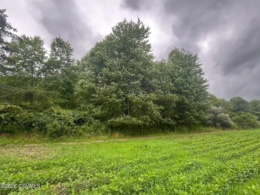 LOT 1 Snydertown Road, Danville, PA 17821 - #3
