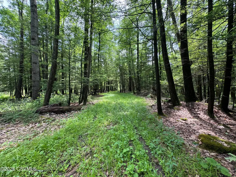 Pennsylvania 239 Highway, Benton, PA 17814 - #2