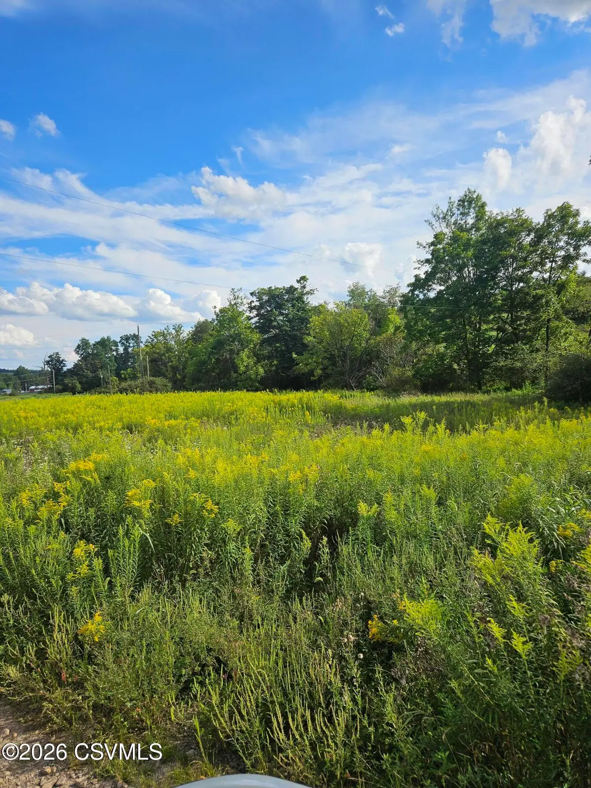Distillery Hill Road, Benton, PA 17814 - #1