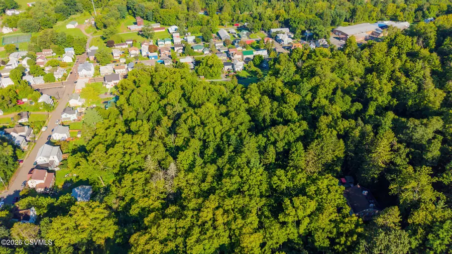 Ruckle Alley, Orangeville, PA 17859 - #3