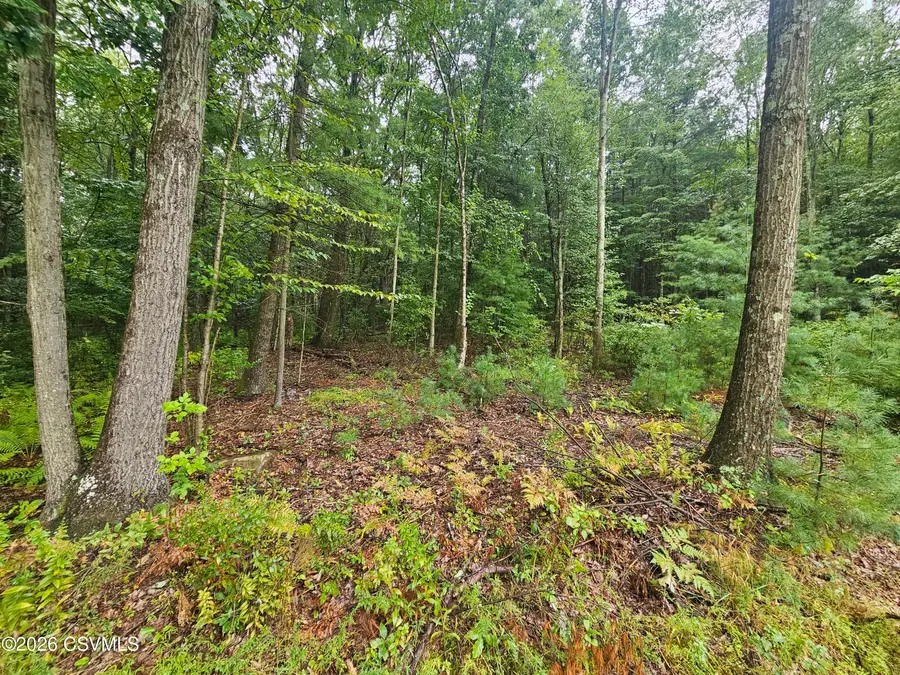 Slocum Road, Wapwallopen, PA 18660 - #3