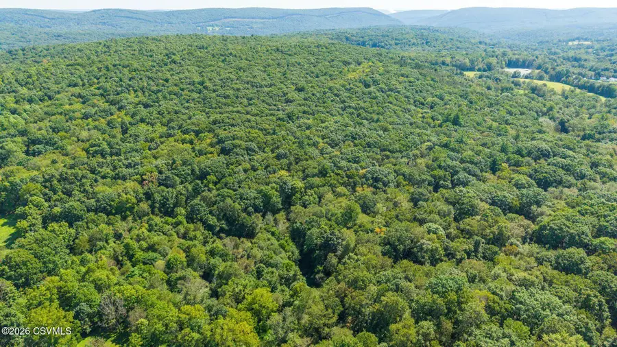 Marvin Road, Shickshinny, PA 18655 - #2