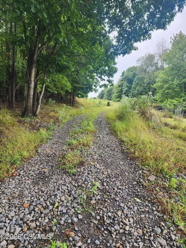 Mountain Road, Shamokin, PA 17872