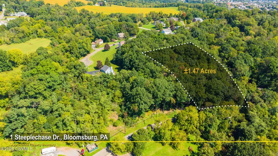 LOT 1 Red Mill Road, Bloomsburg, PA 17815 - #3