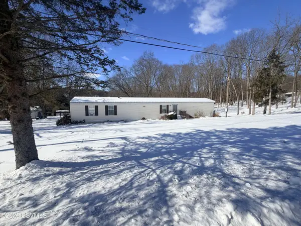 133 Roadarmel Lane, Paxinos, PA 17860