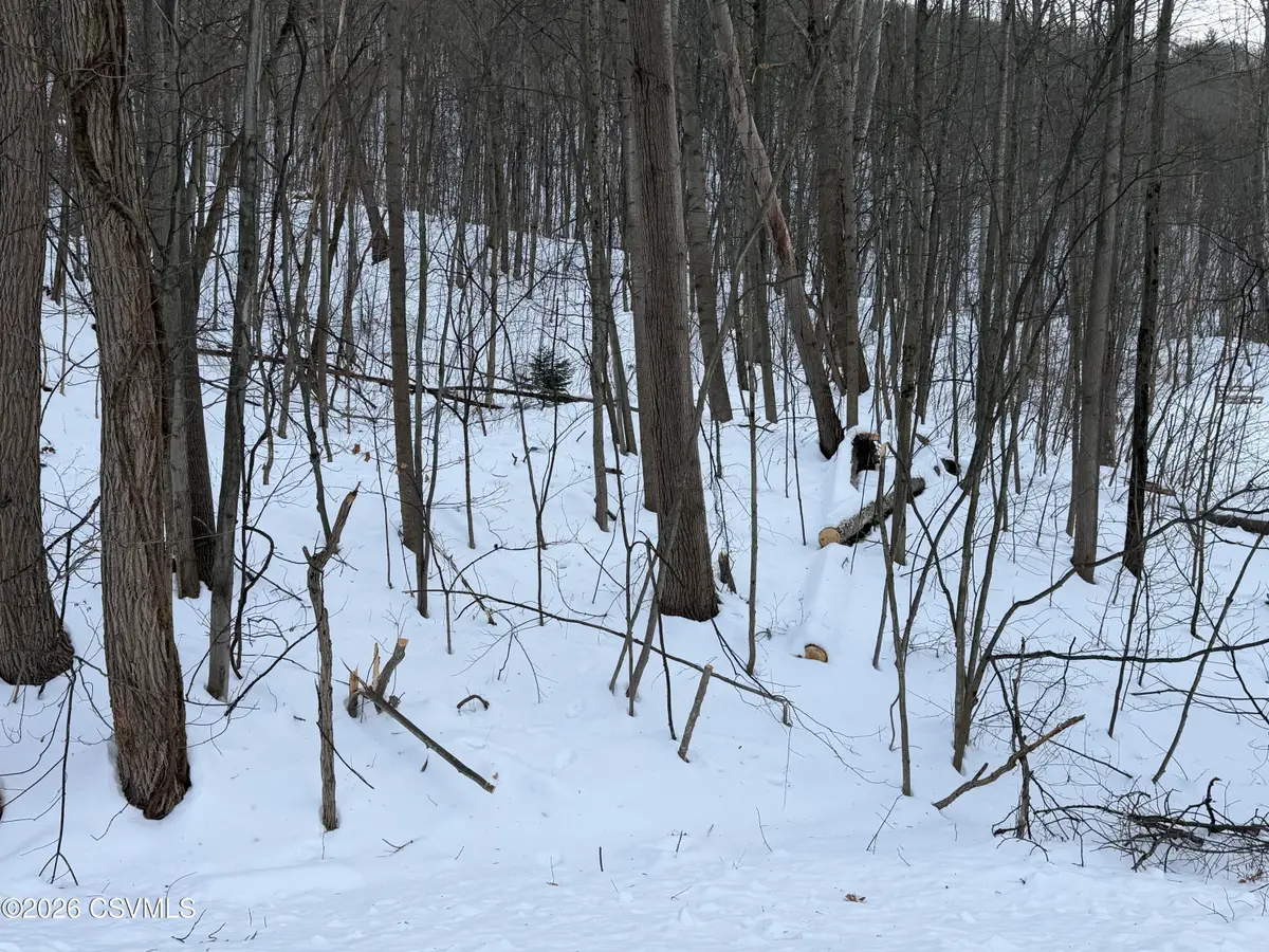 LOT 171 Scenic Avenue, Bloomsburg, PA 17815 - #1