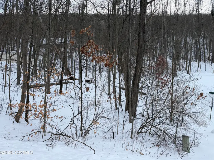 LOT 171 Scenic Avenue, Bloomsburg, PA 17815 - #2
