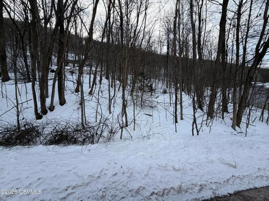 LOT 171 Scenic Avenue, Bloomsburg, PA 17815 - #3