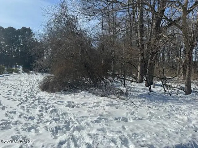 Madrid Avenue, Bloomsburg, PA 17815 - #1