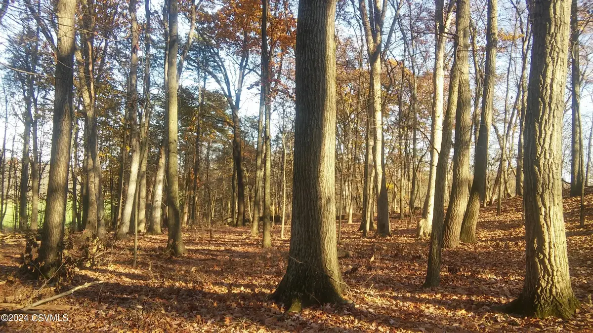 LOT 4 Milroy Road, New Columbia, PA 17856 - #1