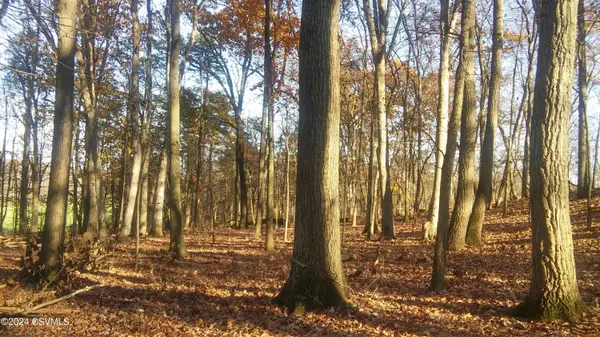 LOT 4 Milroy Road, New Columbia, PA 17856