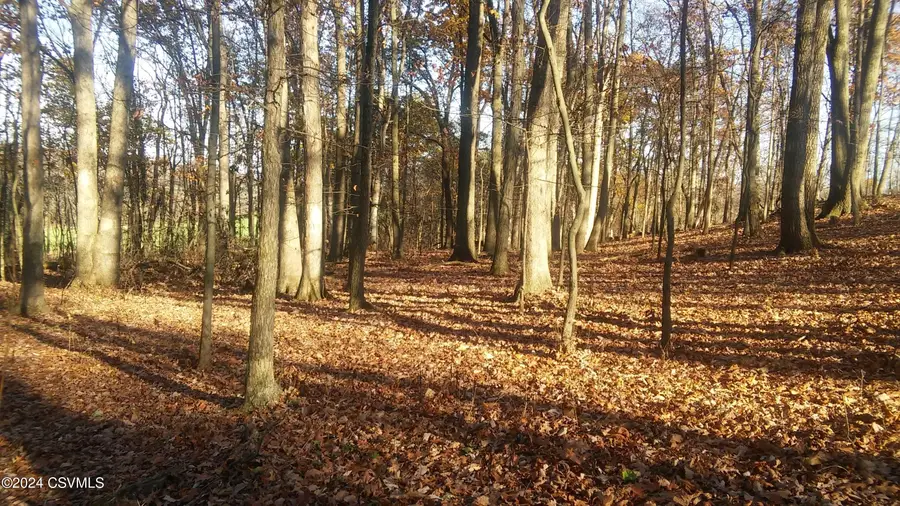 LOT 4 Milroy Road, New Columbia, PA 17856 - #2