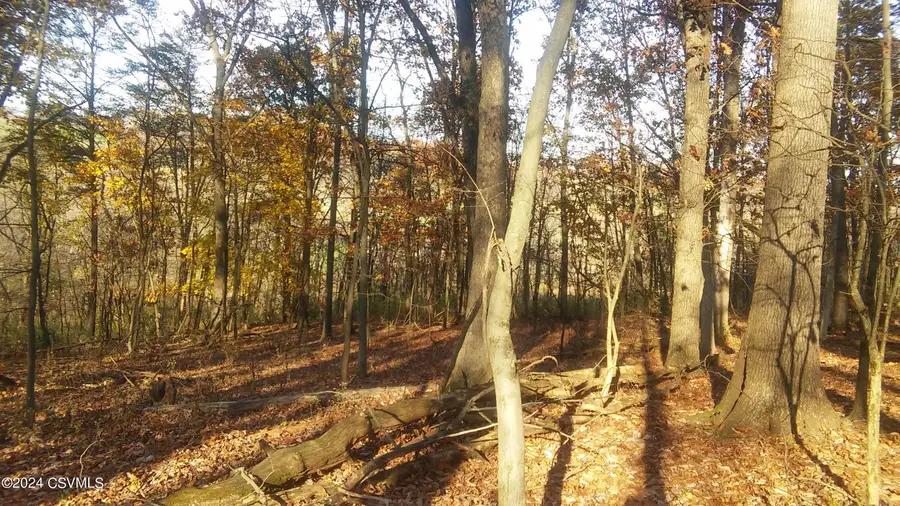 LOT 4 Milroy Road, New Columbia, PA 17856 - #3