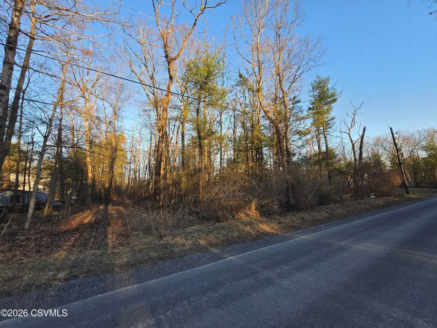 LOT 2 Diehl Road, Mifflinburg, PA 17844 - #3