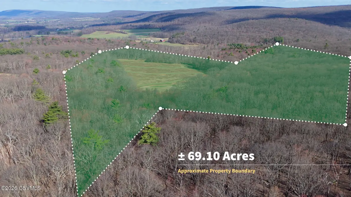 169 Vivian Lane, Catawissa, PA 17820 - #1