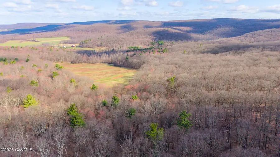 169 Vivian Lane, Catawissa, PA 17820 - #2